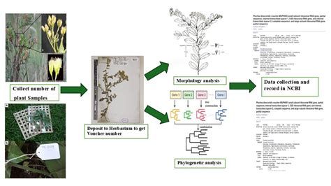 Journal of Applied Biology and Biotechnology
