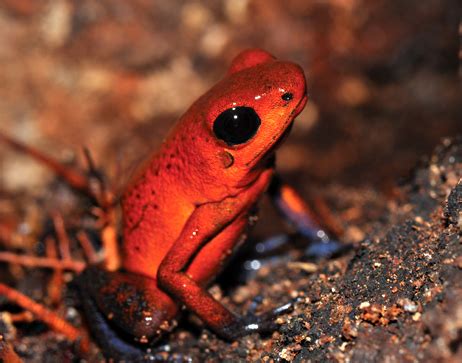 Nature | U.S. Department of the Interior