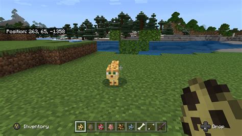 Ocelots Minecraft