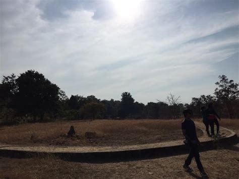 India's FOSSIL PARK - Reviews, Photos - Mandla Plant Fossils National ...