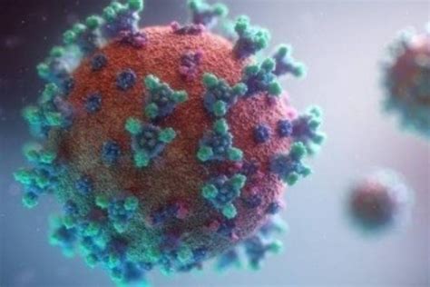 China, SE Asia 'hotspot' for new coronaviruses: Study