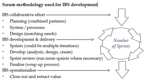 Developing Innovative Integrated Business Solutions Using a Scrum ...