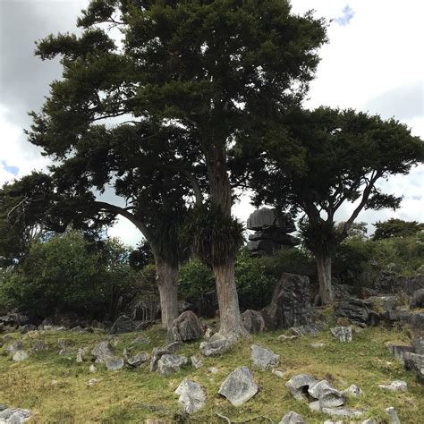 WARO LIMESTONE SCENIC RESERVE WALK - All You Need to Know BEFORE You Go ...