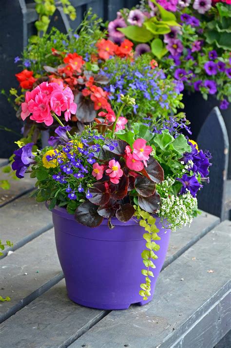 Flower Pots with Flair | T8N