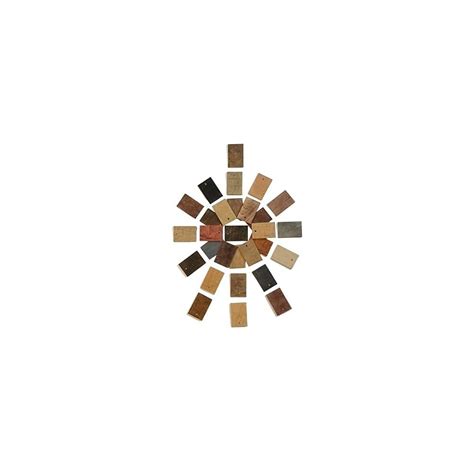 Stain Samples - Stain Sample Variety Pack - Stain | Ubuy India