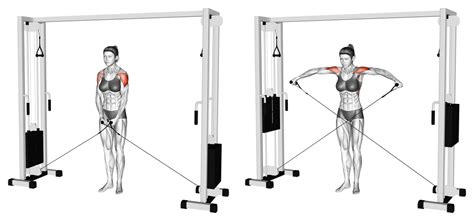 Image result for Contralateral Exercises Cable Machine