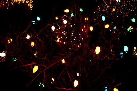 Christmas Lights at Night – Photos Public Domain