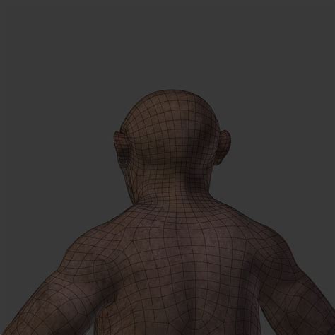 Image result for Australopithecus Simulation