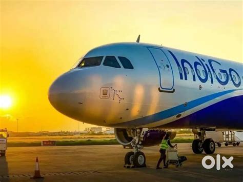 Huge hirings in aviation industry, Apply here! - Other Jobs - 1820657905