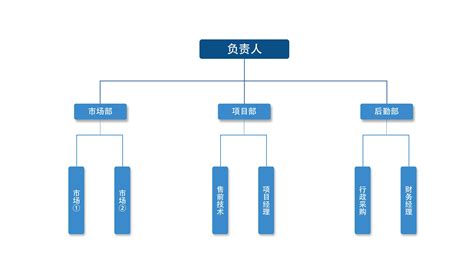 团队架构,保险团队架构图(第15页)_大山谷图库