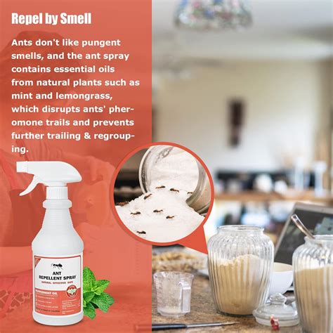 Repellent For Ants The Natural Ways at Pedro Vice blog