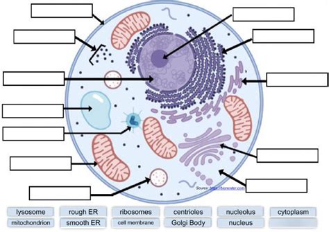 Cell Label 的图像结果