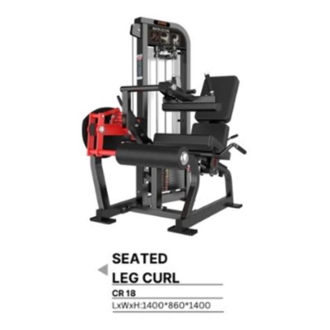 Leg Curl Machine Exercise 的图像结果