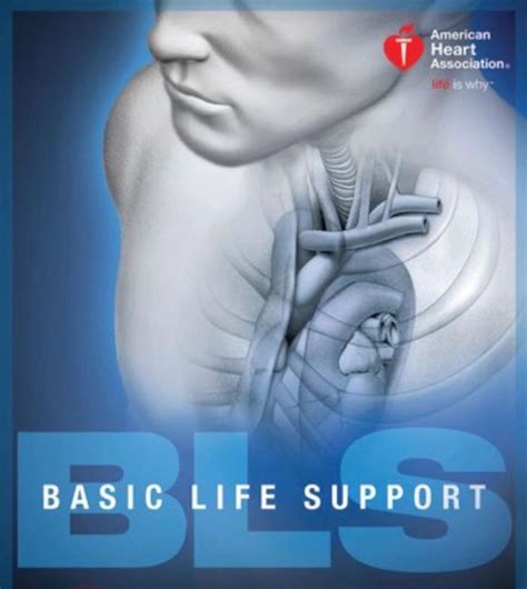 Image result for AHA BLS Program