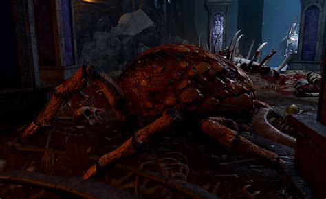 Spider meat - bg3.wiki