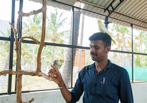 TYCOON RESORT (Madurai, Tamil Nadu) - Resort Reviews, Photos, Rate ...