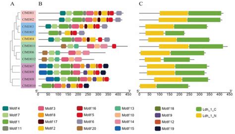 IJMS | Special Issue : Recent Advances in Plant Molecular Science in ...