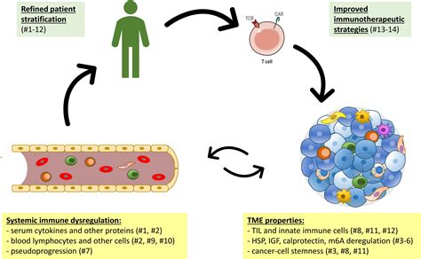 Frontiers | Editorial: Systemic immune dysregulation in malignant disease: Insights, monitoring ...