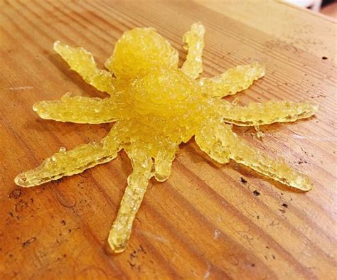 Image result for Magic Candy Factory