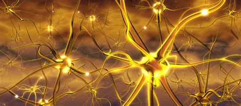 Image result for Brainwave Synchronization