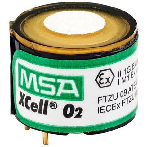 Image result for MSA O2 Sensor