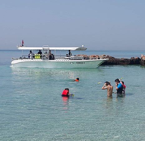 Rabdan diving and Sea Tours (Seeb) - 2022 What to Know Before You Go ...