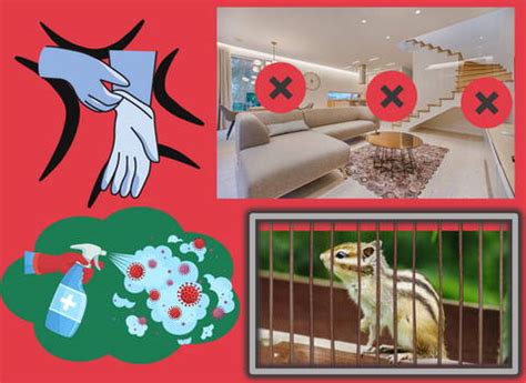 Traps for Chipmunks Home Depot 的图像结果