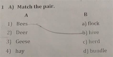 A. match the pair. - Brainly.in