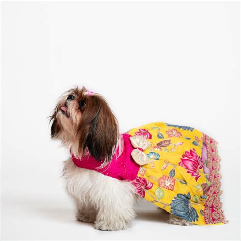 Yellow & Pink Floral Pen Kalamkari Dress for dogs – Floof and Co