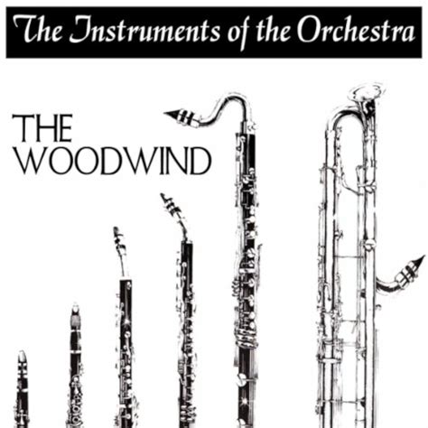 Image result for Woodwind Band Instruments