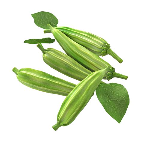 Lady Finger Vegetable on Transparent Background 47089028 PNG