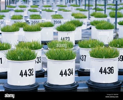 Testing pots hi-res stock photography and images - Alamy