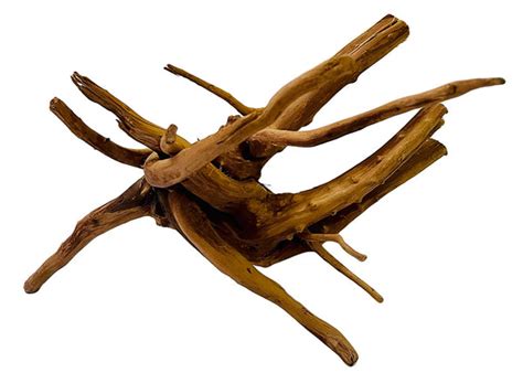 Drift Wood Piece | FRESHWATERAQUATICA