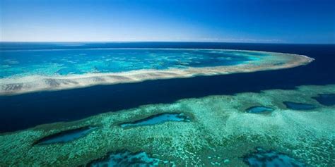 Barrier Reef