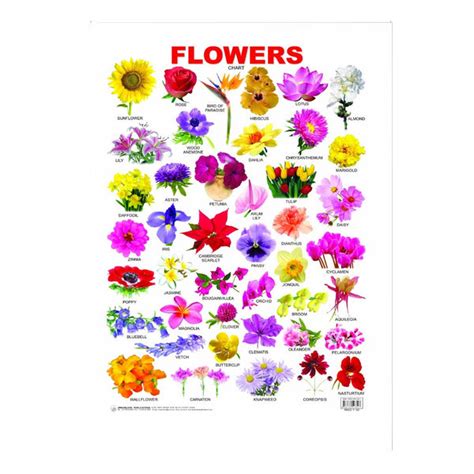 Flower (Early Learning Chart) – Chirukaanuka