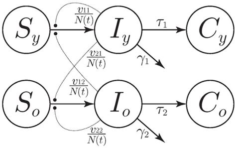 Two-Age-Structured COVID-19 Epidemic Model: Estimation of Virulence ...
