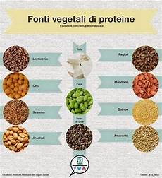 proteine vegetali alimenti ottime fonti di proteine vegetali nel 2020 proteina proteine vegetali alimenti ottime fonti di proteine vegetali nel 2020 proteina