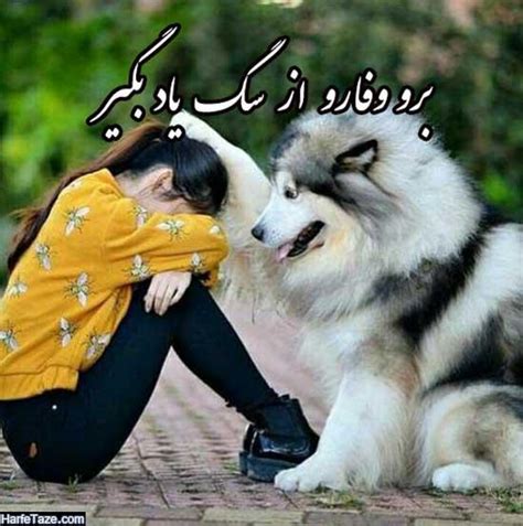 عکس سگ برای پروفایل دخترانه و پسرانه + عکس نوشته سگ با متن برای پروفایل