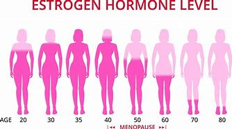 Image result for hormone