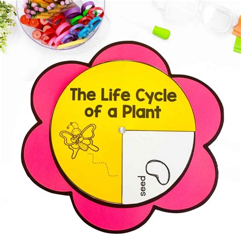 Image result for Plant Lesson First Grade