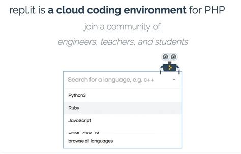 Image result for Repl Programming