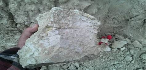 J-K: In a first in 5.9 million tonnes Lithium deposits found