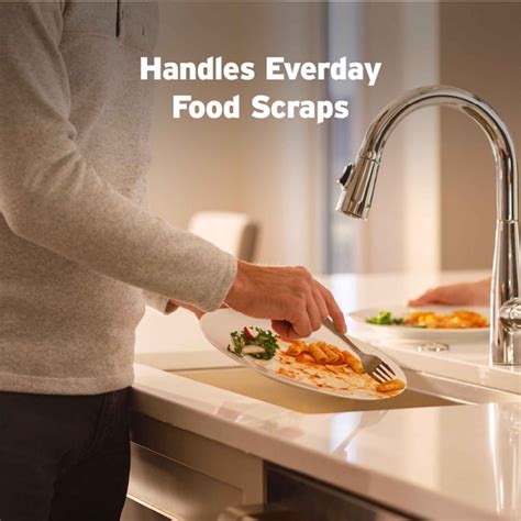 InSinkErator Badger 5XP Continuous Feed 3/4-HP Septic Safe Non-corded ...