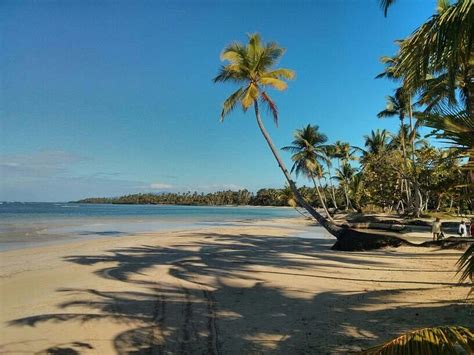 EL PORTILLO RESIDENCES BY MINT (Las Terrenas, Samana, Dominican ...