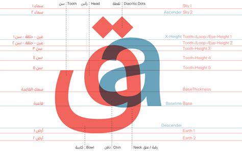 Arabic Type Anatomy & Typographic Terms | Type anatomy, Lettering, Anatomy