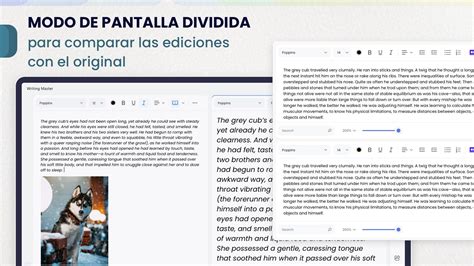 Image result for Text Editor Windows 11