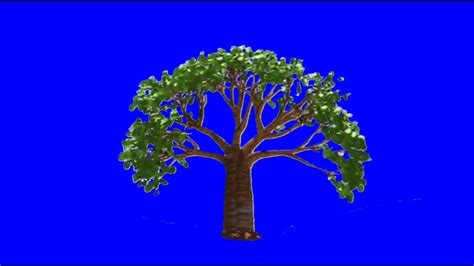 Image result for Teletubbies PBS Magic Tree