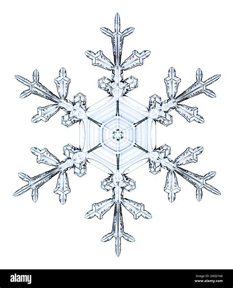 Snowflake. Light micrograph of a stellar dendrite snowflake. Snowflakes are symmetrical ice ...