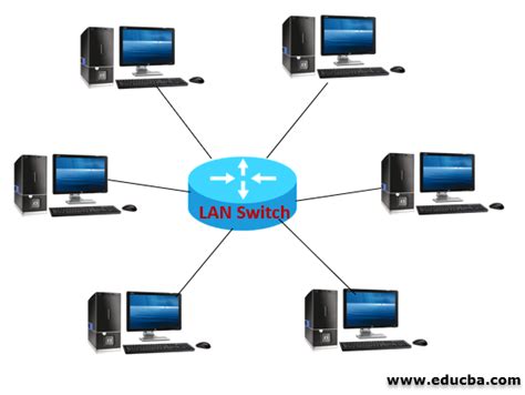 LAN Networking 的图像结果