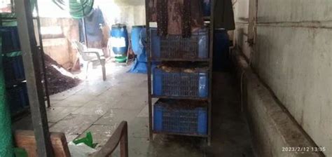 Food Waste Composting Machine - SE-5001 India''S Most Advance Semi ...